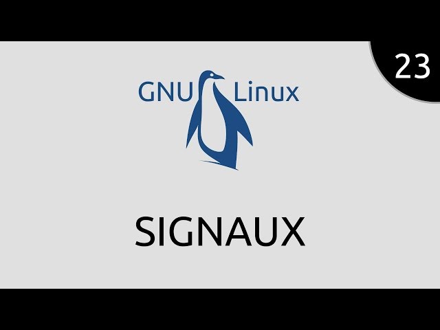 GNU/Linux #23 - signaux