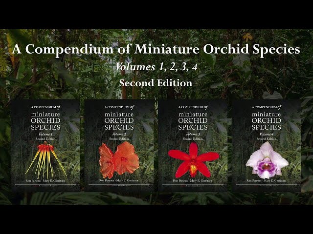 A Compendium of Miniature Orchid Species Second Edition Volumes 1, 2, 3 and 4
