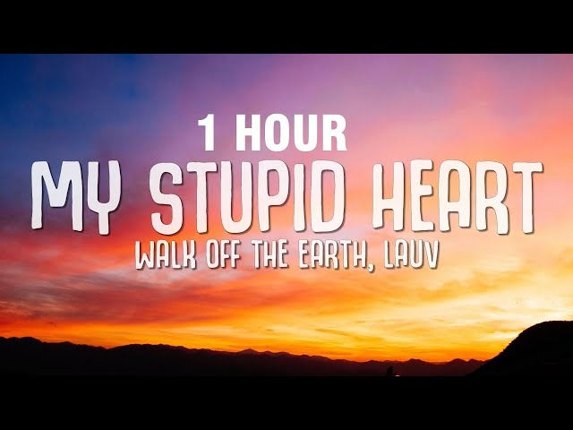[1 HOUR] My Stupid Heart - Walk off the Earth, Lauv (Lyrics)