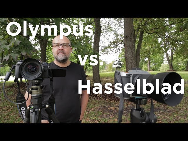Olympus vs Hasselblad