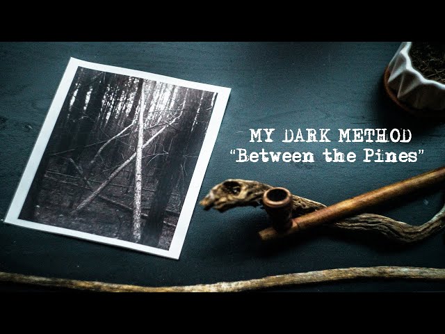 Traditional Darkroom Print-Making | Between the Pines | My Dark Method | Rainy Day Printing
