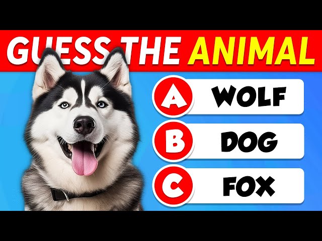 Guess 60 ANIMALS...! 🐶🐱 EASY to IMPOSSIBLE 🧠🤯