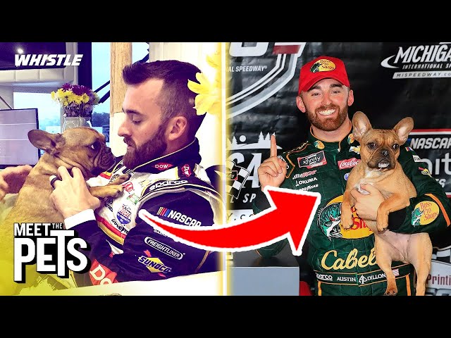 How Austin Dillon’s DOG Drives His NASCAR Success! 👀