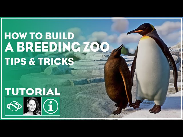 ▶ The Ultimate Guide to Starting a Breeding Zoo in Planet Zoo | Tutorial | Tips & Tricks