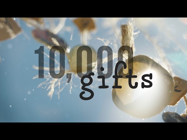 10,000 Gifts
