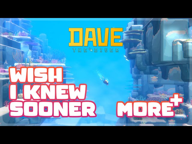 7 MORE Tips I Wish I Knew Sooner | Dave The Diver