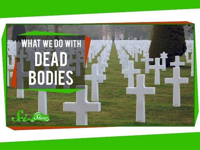 What We Do With Dead Bodies