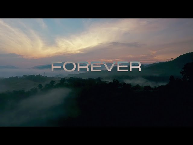 Forever - Dan Burke