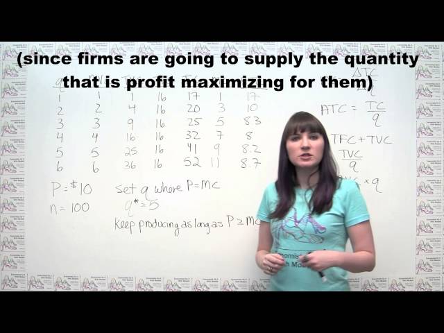 Microeconomics Practice Problem - Competitive Markets in the Short Run and the Long Run