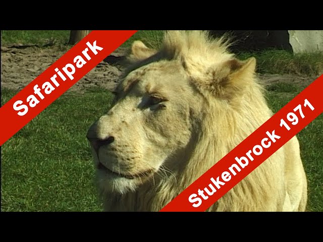 Safaripark Stukenbrock 1971