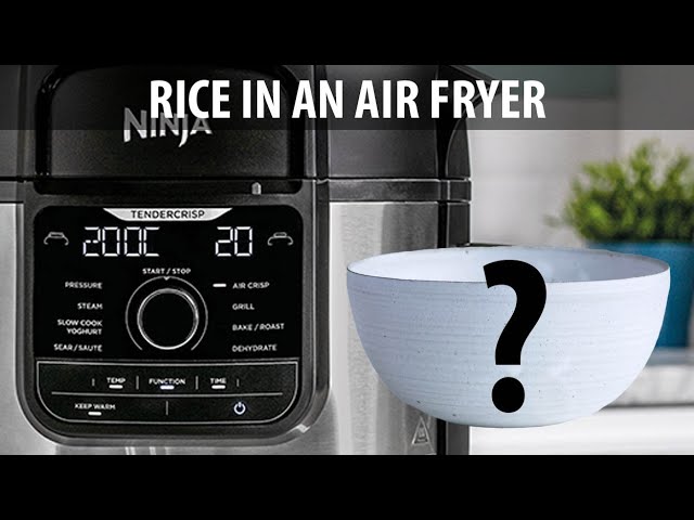 Air Fryer Recipes: Can a Ninja Foodi cook rice?