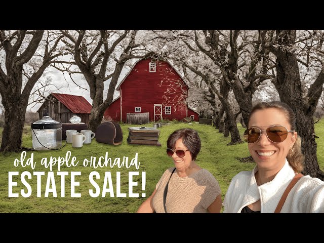 Estate Sale (SHOP WITH US) at an Old Apple Orchard! Let's Go Vintage Home Decor Hunting!