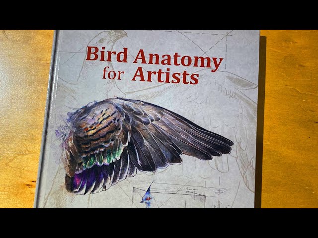 Book Review - "Bird Anatomy for Artists" by Dr. Natalia Balo