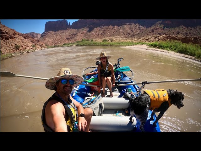 Rafting the Moab Daily at 20,000CFS with our Dog and Camping on the River