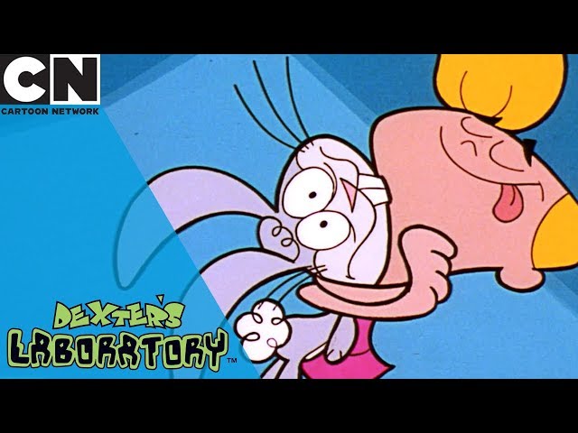 Dexter's Laboratory | Animal Swapping Remote | Cartoon Network