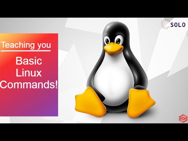 Basic Linux Commands|Learn Linux From Basics|Basics in Linux|Cyber Zypher|Powered by SOLO™