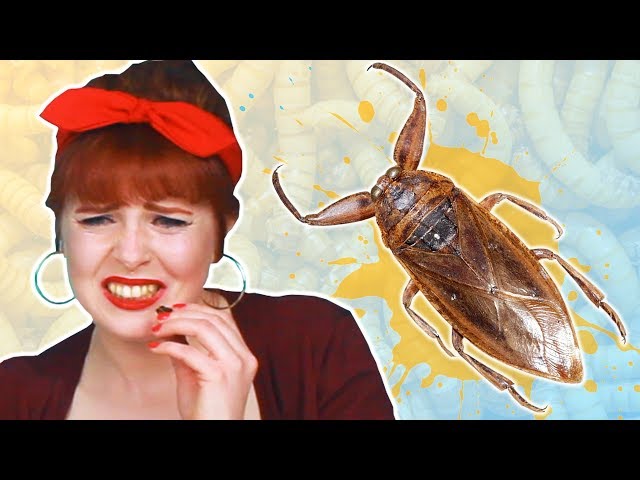 Irish People Try Giant Insect Snacks