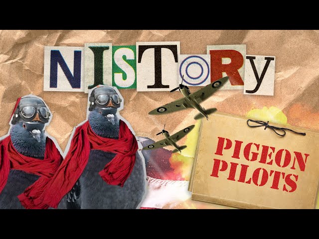 Pigeon Pilots - NISTory