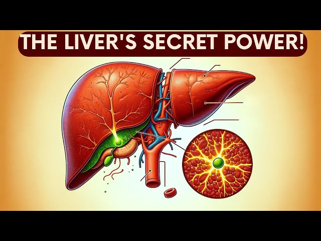 What's Your Liver Hiding? The Space of Mall Explained