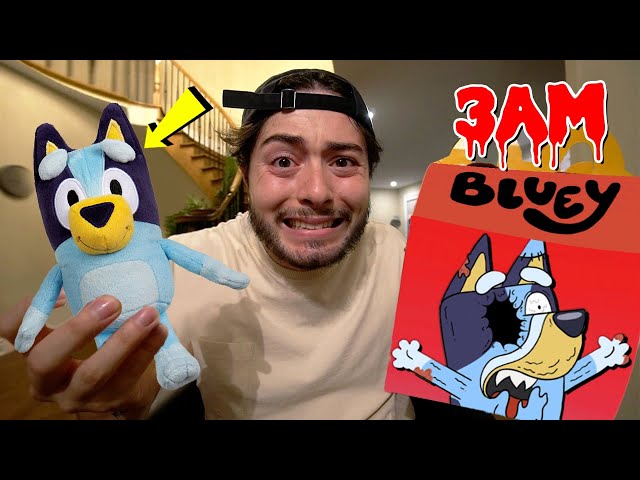 DO NOT ORDER BLUEY HAPPY MEAL AT 3 AM!! (GROSS)