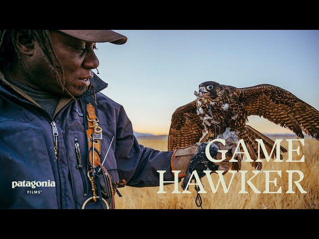 Game Hawker: A Wild Journey to Falconry | Patagonia Films