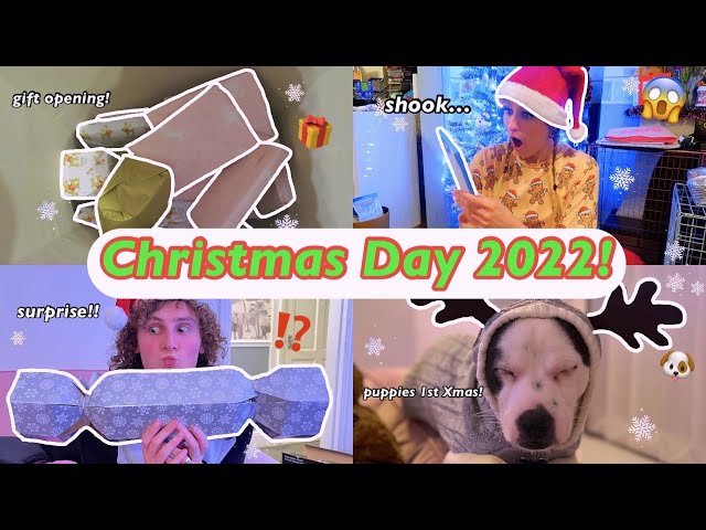 CHRISTMAS DAY 2022!!🎅🏻🎁✨ *opening gifts, surprising parents, puppies 1st xmas + GIVEAWAY WINNERS!*🥳