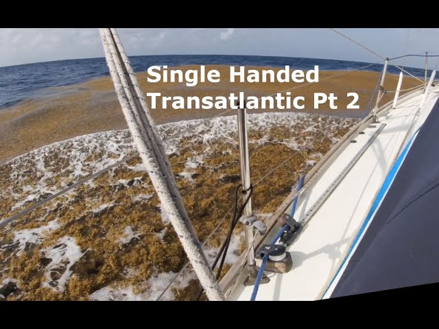 Single Handed Sailing Transatlantic Part 2
