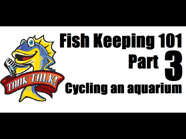 Fish Keeping 101 Part 3 "Cycling An Aquarium" Presented by KGTropicals