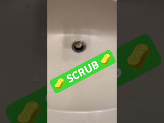 How to clean your sink the fun way!