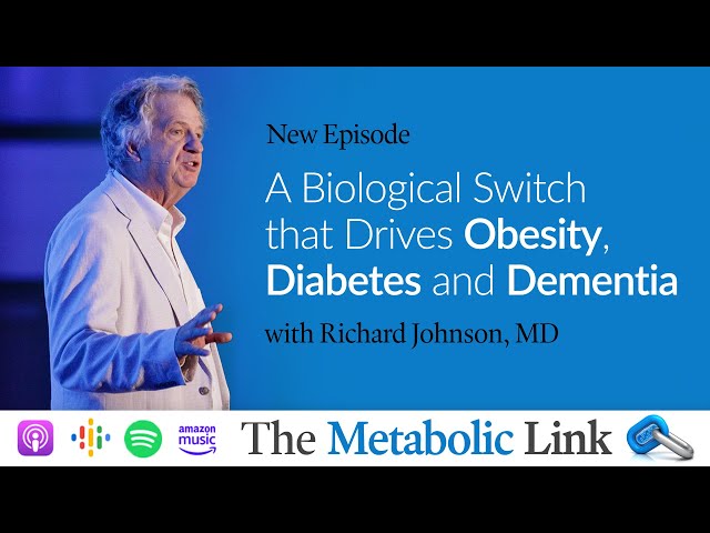 A Biological Switch that Drives Obesity, Diabetes, and Dementia | The Metabolic Link Ep. 39