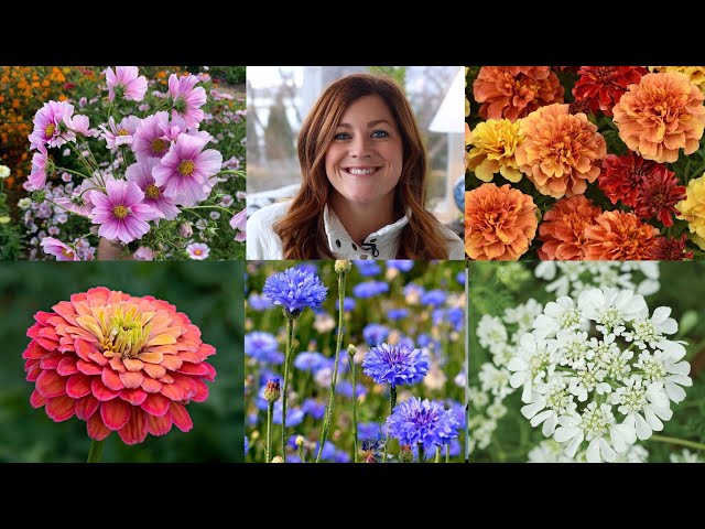 10 of the Easiest Annual Flowers to Start From Seed! 🌸🌻🌿 // Garden Answer