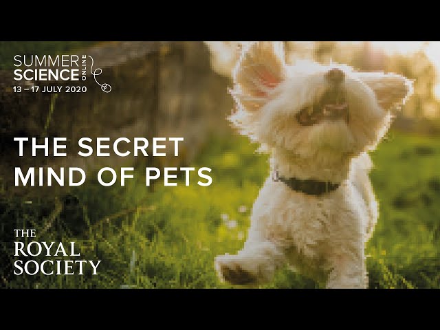 What are your pets thinking? | The Royal Society