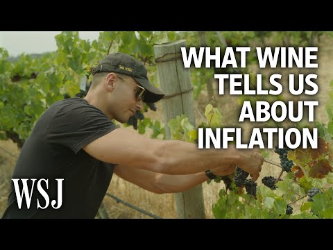 What One Winemaker's Pricing Decisions Tell Us About Inflation | WSJ