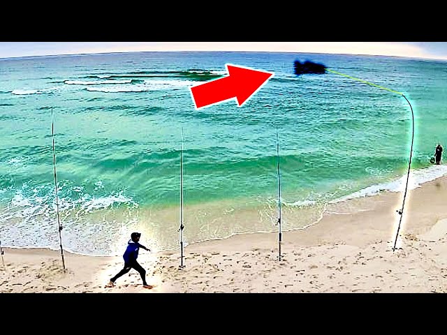 This is WHY this Surf Fishing BAIT is SECRET!