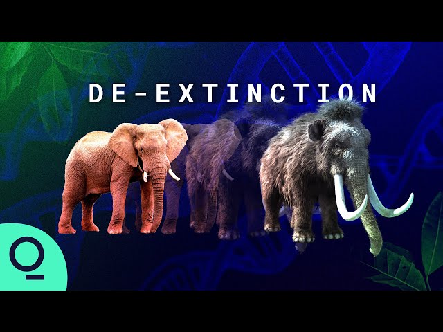 What Happens If We Solve Extinction?