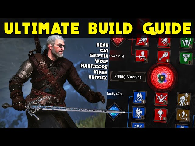 Witcher 3 - The BEST Build for Every Witcher Armor!