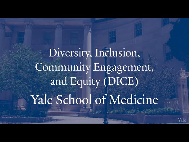 What Is DICE (Diversity, Inclusion, Community Engagement and Equity) At Yale?