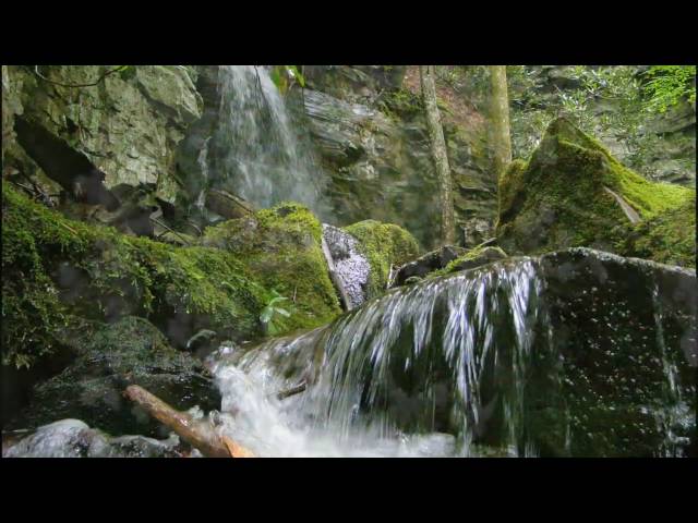 The Great Smoky Mountains HD