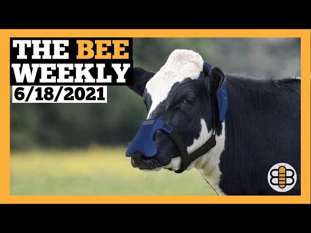 THE BEE WEEKLY: Race-Norming and J.R.R. Woken