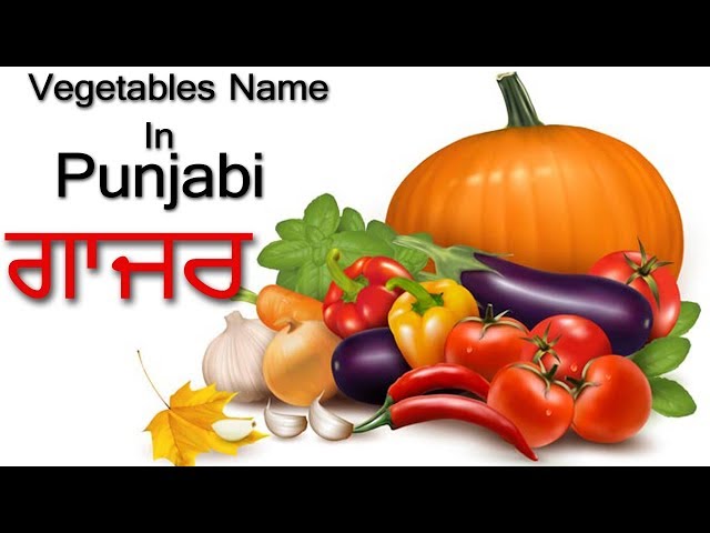 Learn Vegetable Names In Punjabi | Pronunciation Of Vowels & Matra | Learn The Language For Beginner