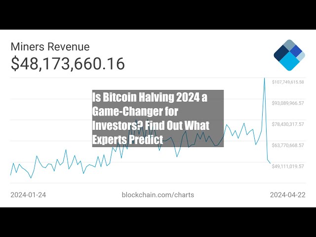 Is Bitcoin Halving 2024 a Game-Changer for Investors? Find Out What