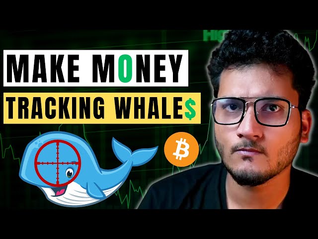 Track Crypto Whales - Copy Trades NFT Airdrops | Dune Analytics Tutorial + GMX | Crypto Cult