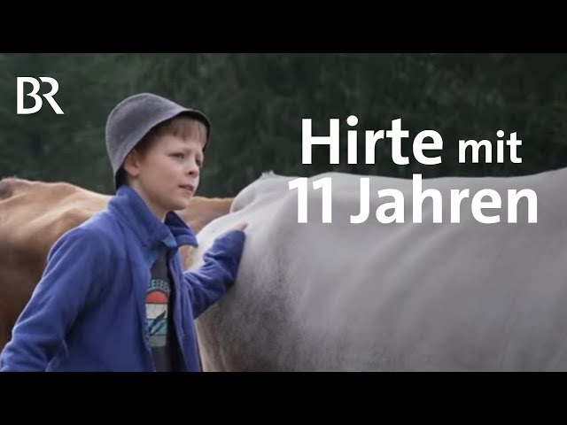Ferien auf Allgäuer Alpe: Kleinhirte mit 11 Jahren | Zwischen Spessart und Karwendel | BR