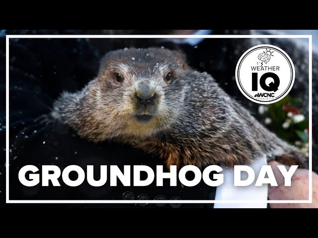 Weather IQ: Groundhog Day