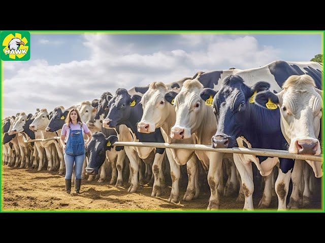 Giant Cow Farm 🐮 How Farmers Raise and Transport Millions of Giant Cows | Processing Factory
