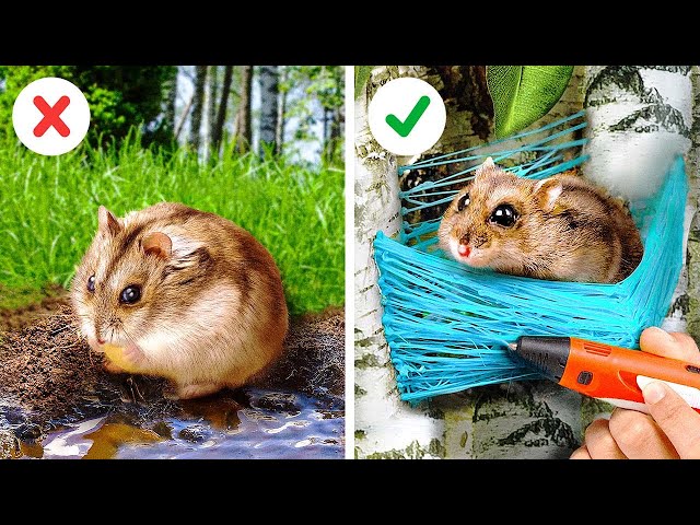 OMG! Hamster Escape From The Maze! 🐹 Hilarious And Cute Pet Hacks By A PLUS SCHOOL