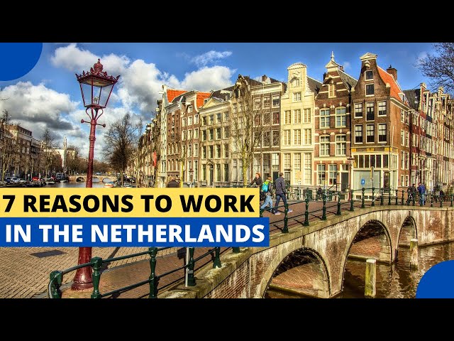 7 Reasons to Work in The Netherlands