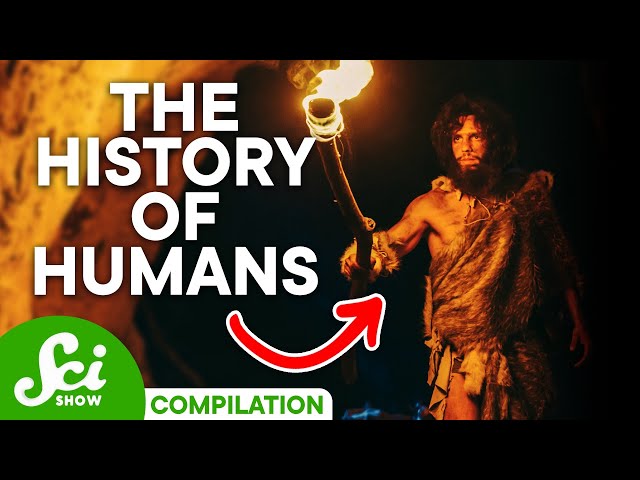 How Will Humans Evolve in the Future? | Evolution Compilation
