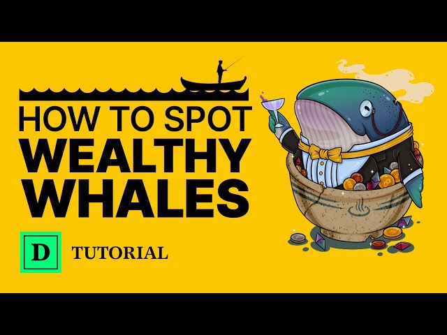 How to track what crypto whales are buying