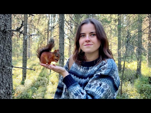 Baby squirrel released to the wild, shows rescuer his new home (Episode 6)